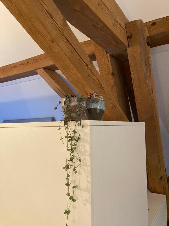 Ferienwohnung Burg 뮈르텐 외부 사진